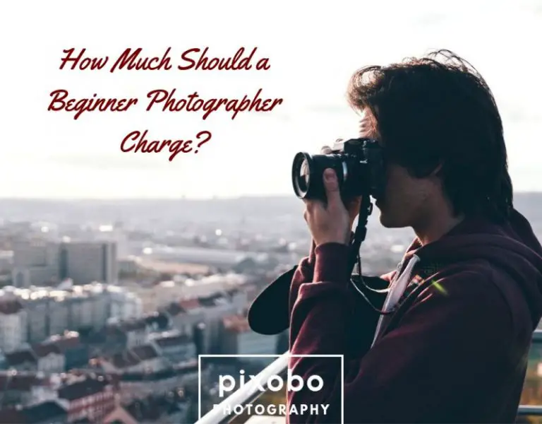 how-much-should-a-beginner-photographer-charge-pixobo-profitable