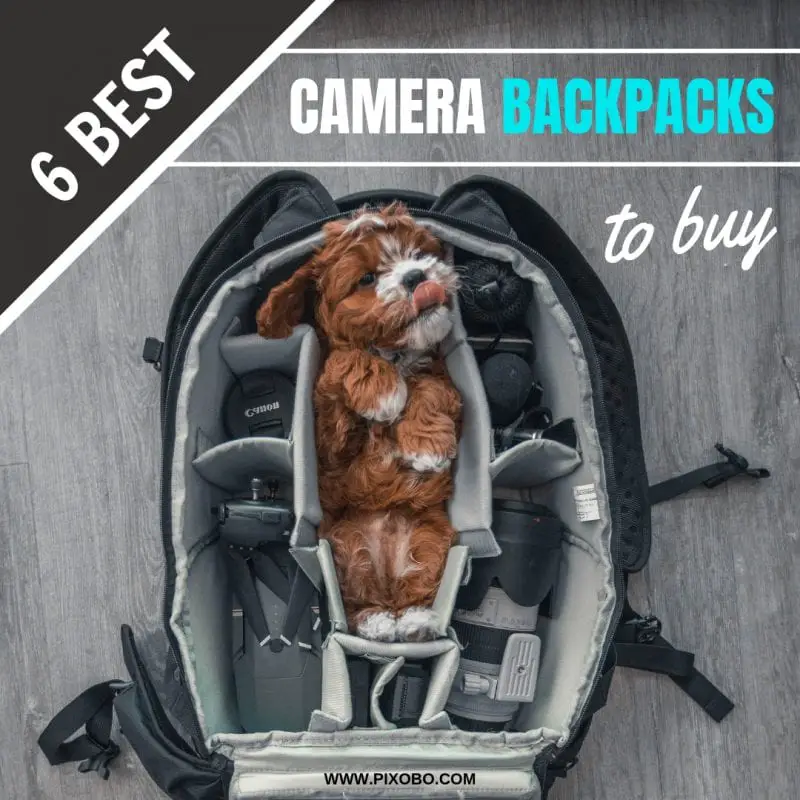 6 Best Photography Camera Backpacks to Buy Pixobo Profitable